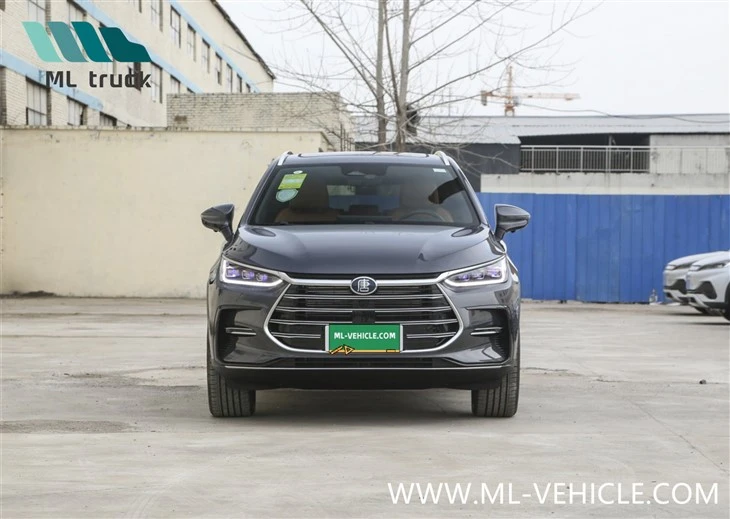 BYD Tang Champion Edition DMI
