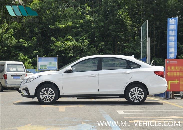 DongFeng Forthing S50 EV