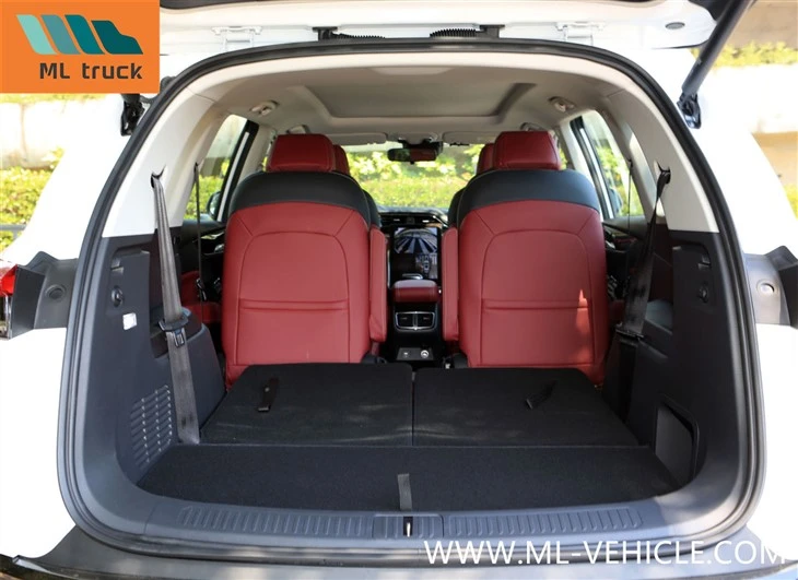 SAIC Maxus D60