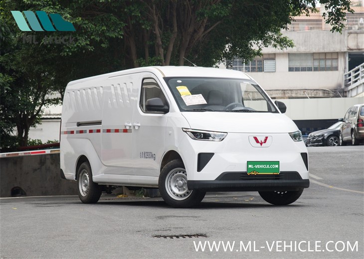 2024 SAIC GM WuLing YangGuang EV Van