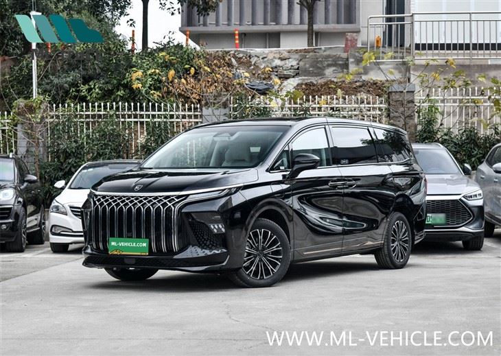 2024 DongFeng Forthing U-Tour V9 PHEV MPV