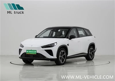 Xe SUV NETA L Reev 2024